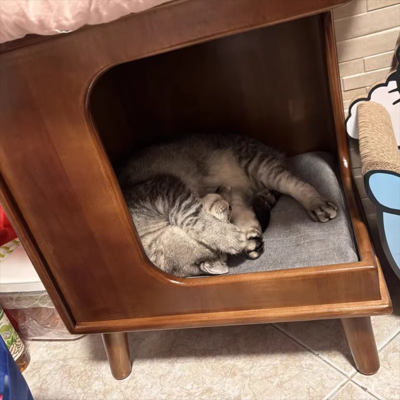 소형 실내 전나무 캐비닛, 고양이와 강아지를 위한 펫하 - Sustainable Living House 리뷰 및 가격