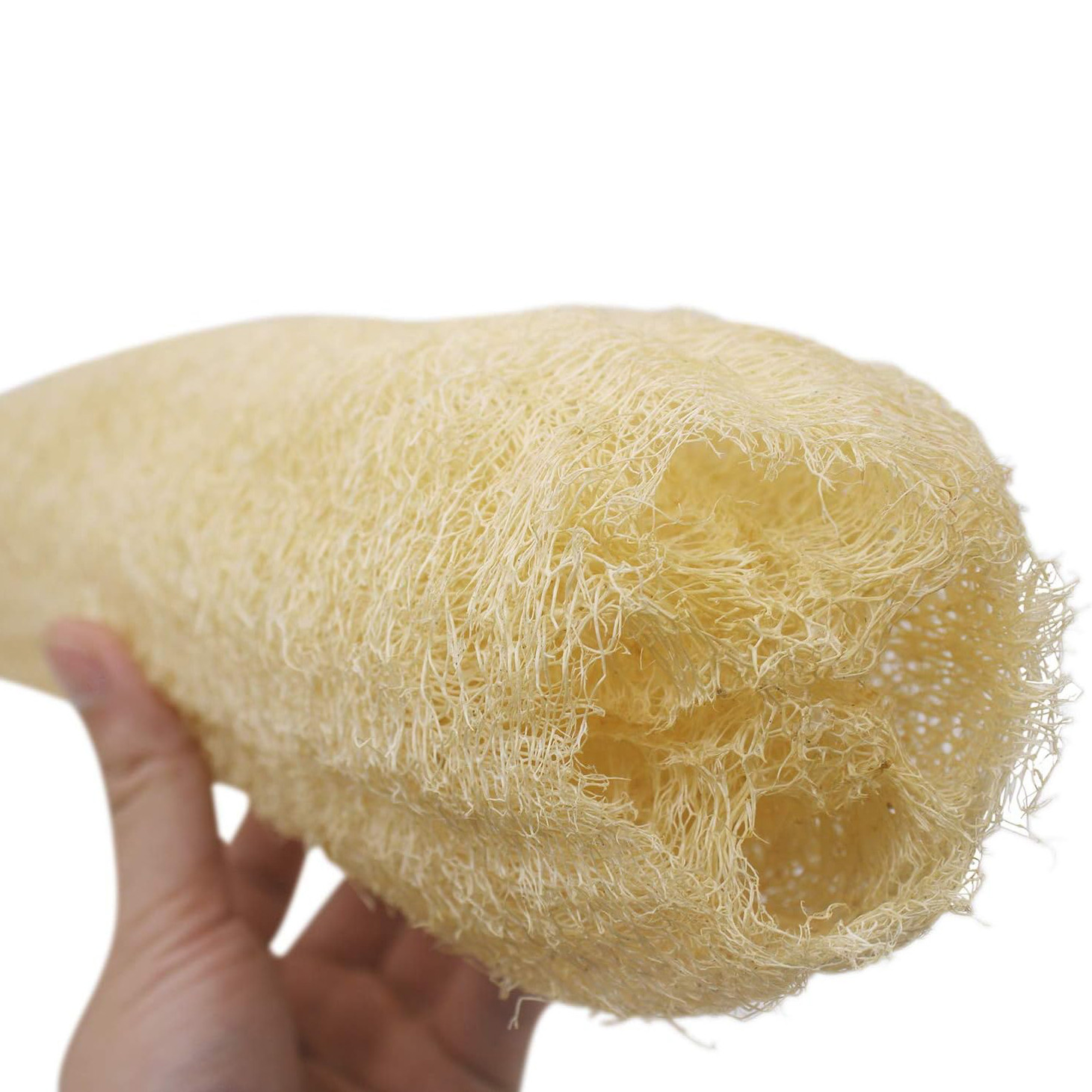 3개입 풀로파 천연 각질 제거 생분해성 루파 스폰지 셀 - Dish Brush Bamboo 리뷰 및 가격
